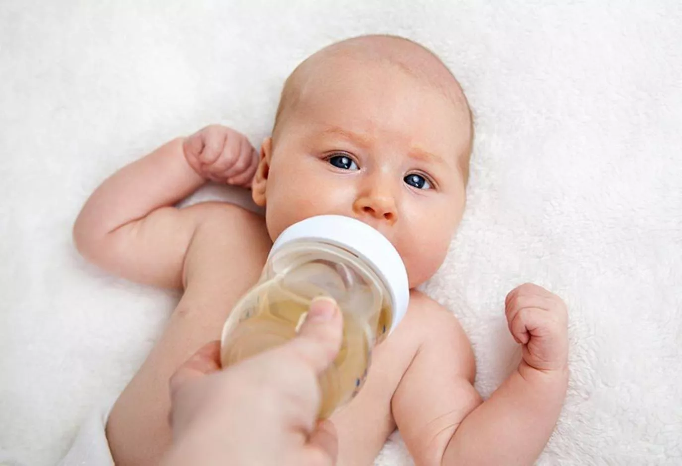 Can Babies Drink Fennel Tea?