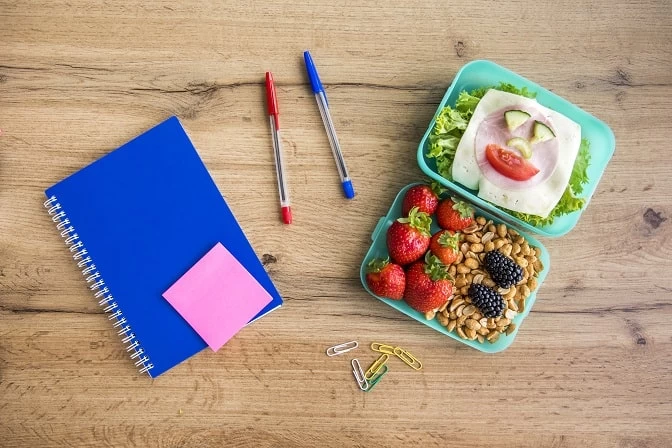 Nutrition Lunchbox Recipes For School-Aged Children