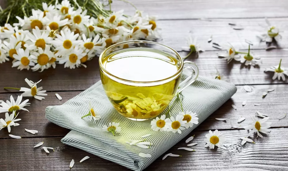How to Make Chamomile Tea? What are the Benefits?
