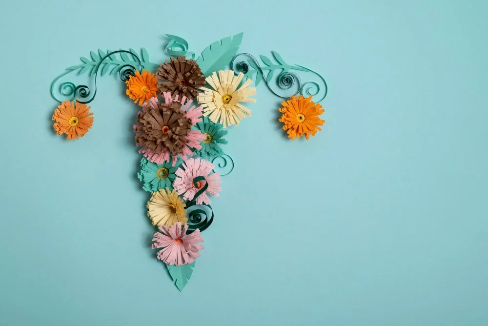 Vaginal Aesthetic Procedures