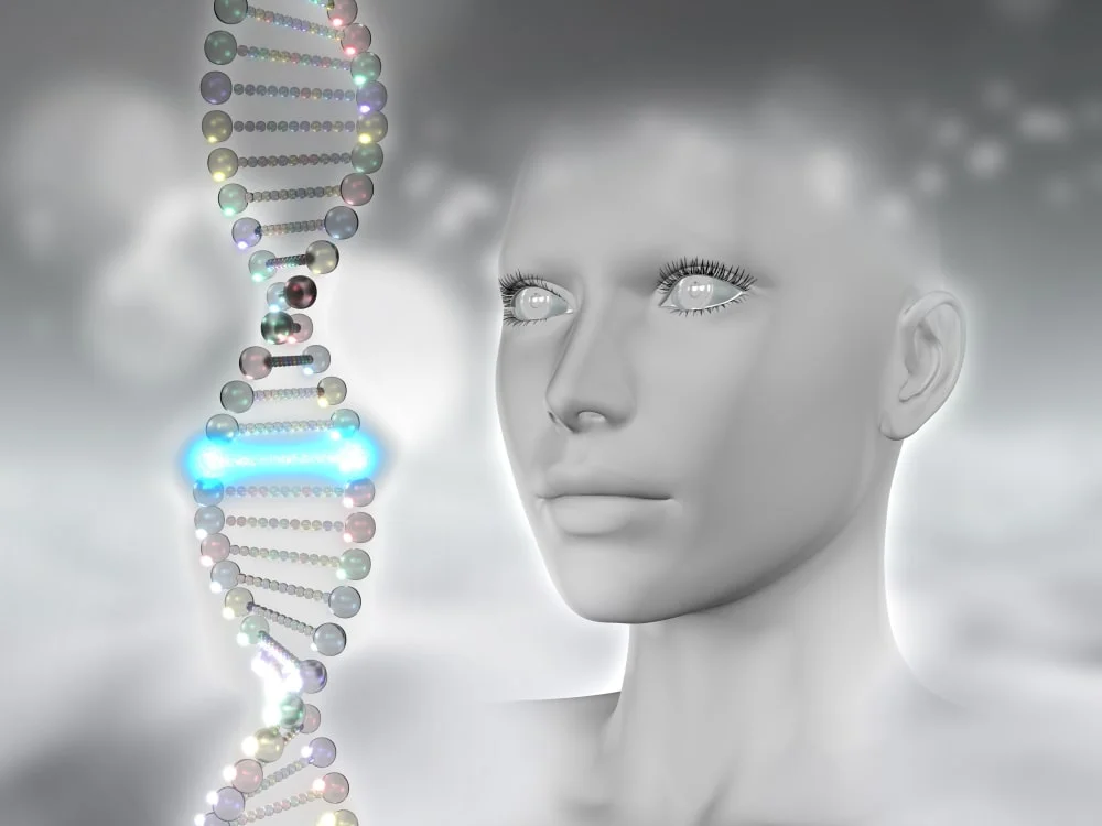 The Role of Mitochondria in Aging