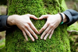 The Relationship between Nature and Human doktoruzman
