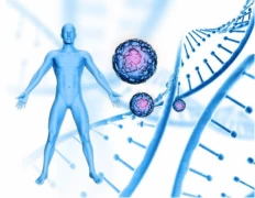 Fizik Tedavide Ekzozom Uygulaması