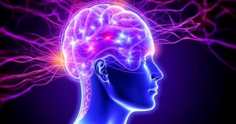 Epilepsy: Diagnosis, Treatment, and Management
