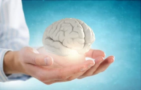 Ways to Boost Memory doktoruzman