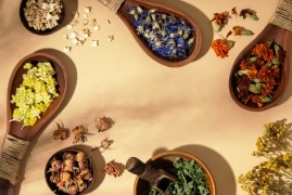 Homeopati Bakış Açısı doktoruzman