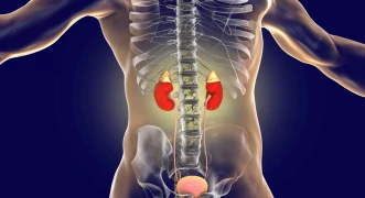 Surrenal Hastalıklar Nelerdir? doktoruzman