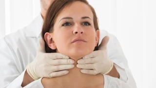 What is Oil Gland?